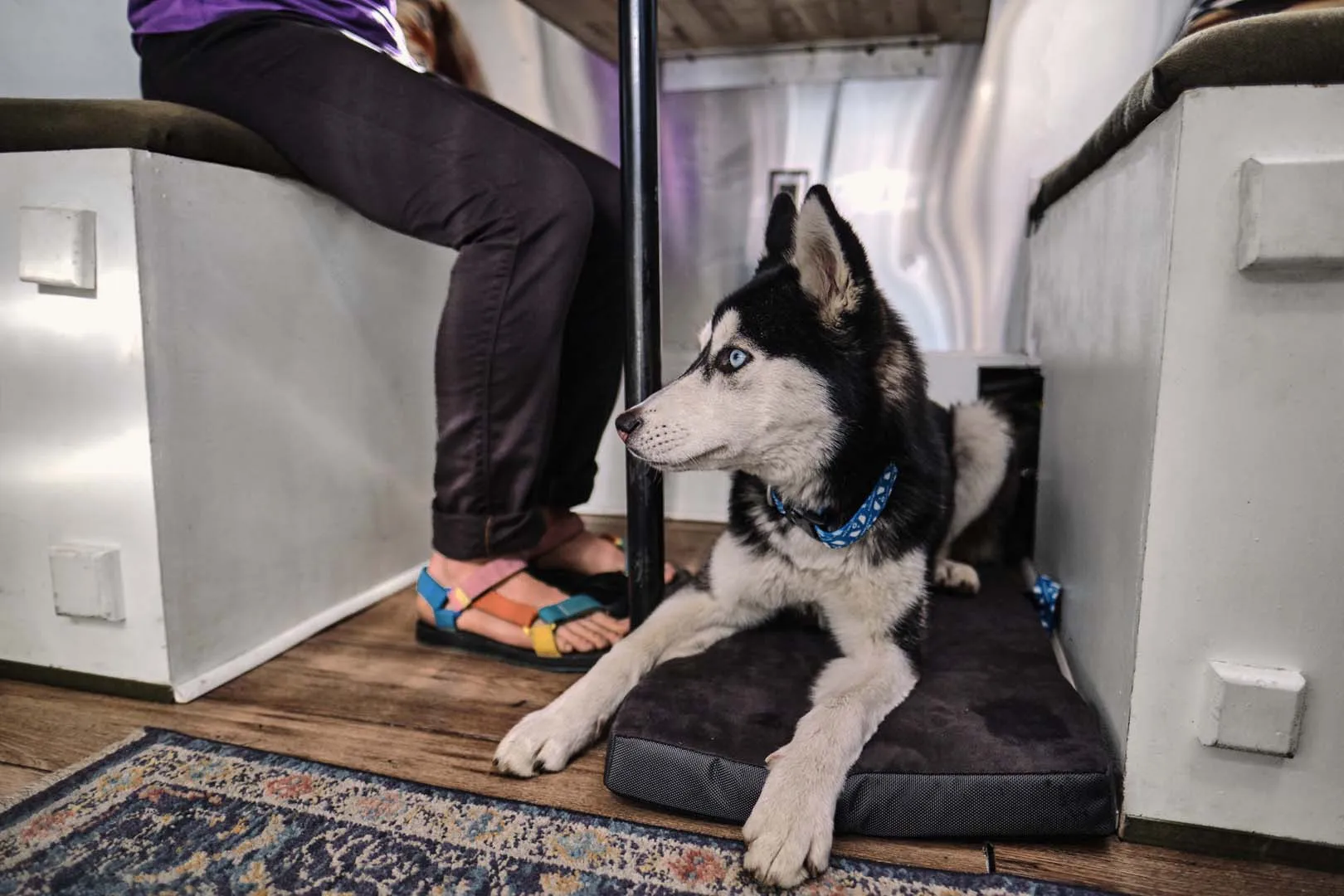 Airstream Under Dinette Pet Bed