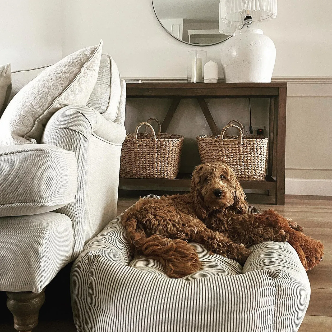 Box Bed With Removable Covers in Regency Stripe  by Lords & Labradors