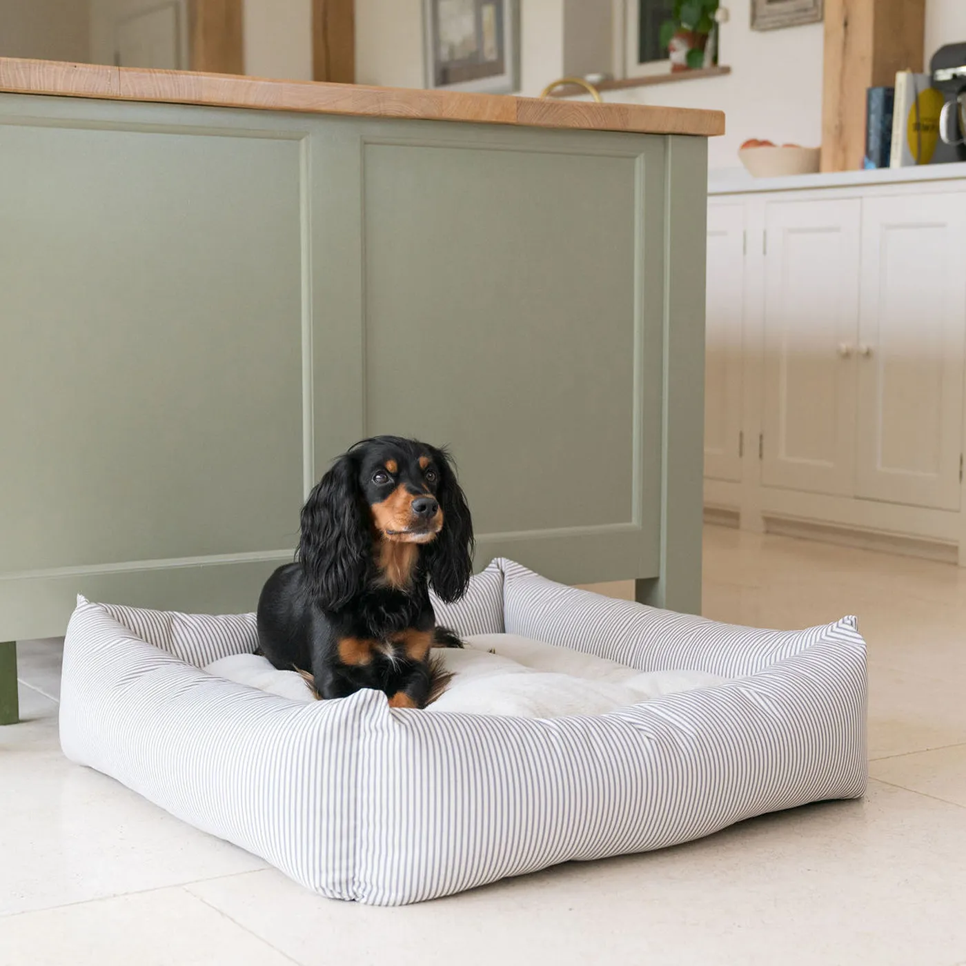 Box Bed With Removable Covers in Regency Stripe  by Lords & Labradors