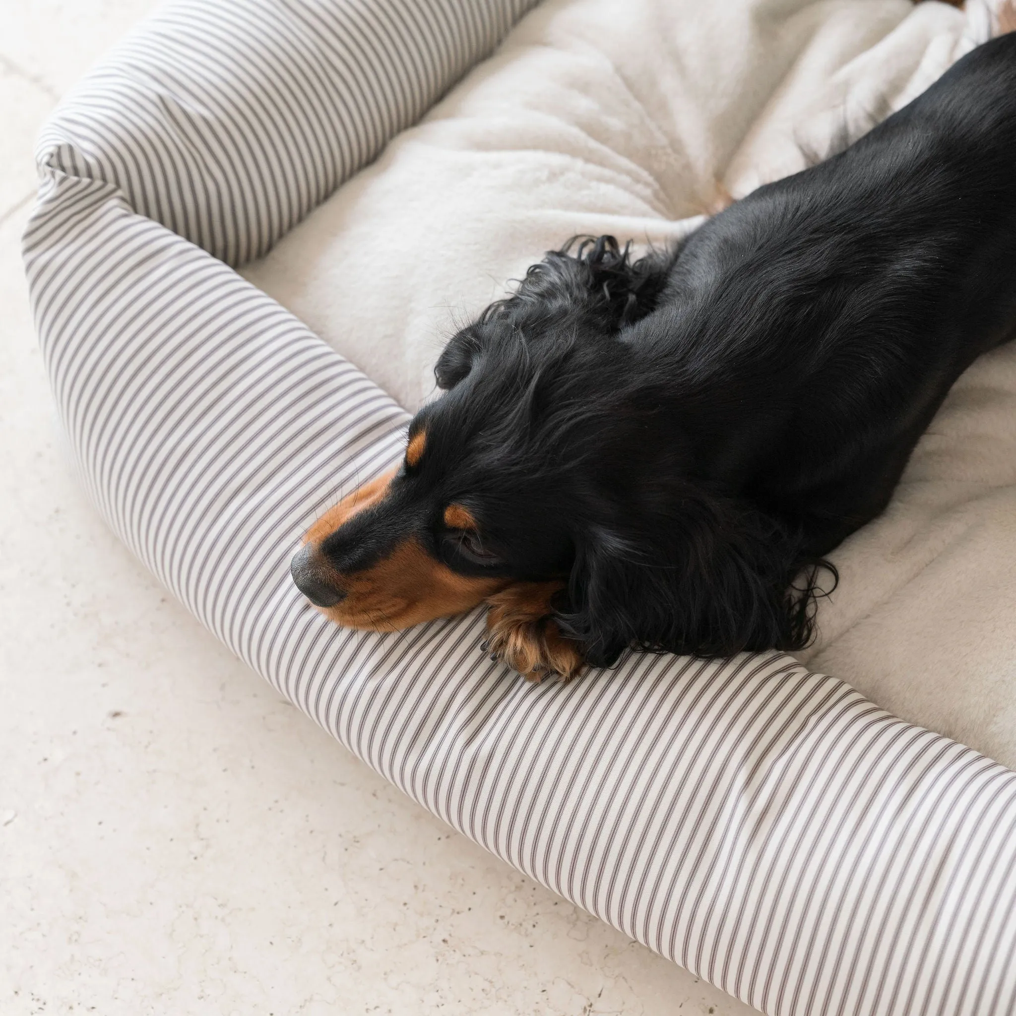 Box Bed With Removable Covers in Regency Stripe  by Lords & Labradors