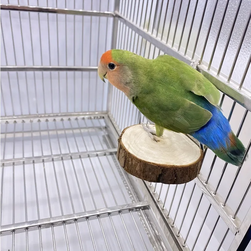 Durable Wooden Parrot Swing Fun Toy for Your Feathered Friend