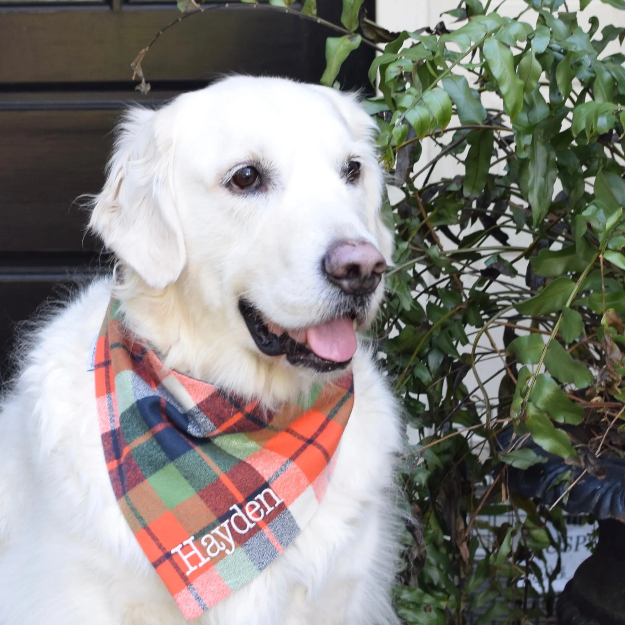 Flannel Dog Bandanas Embroidered with a Name