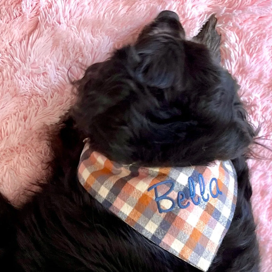 Flannel Dog Bandanas Embroidered with a Name