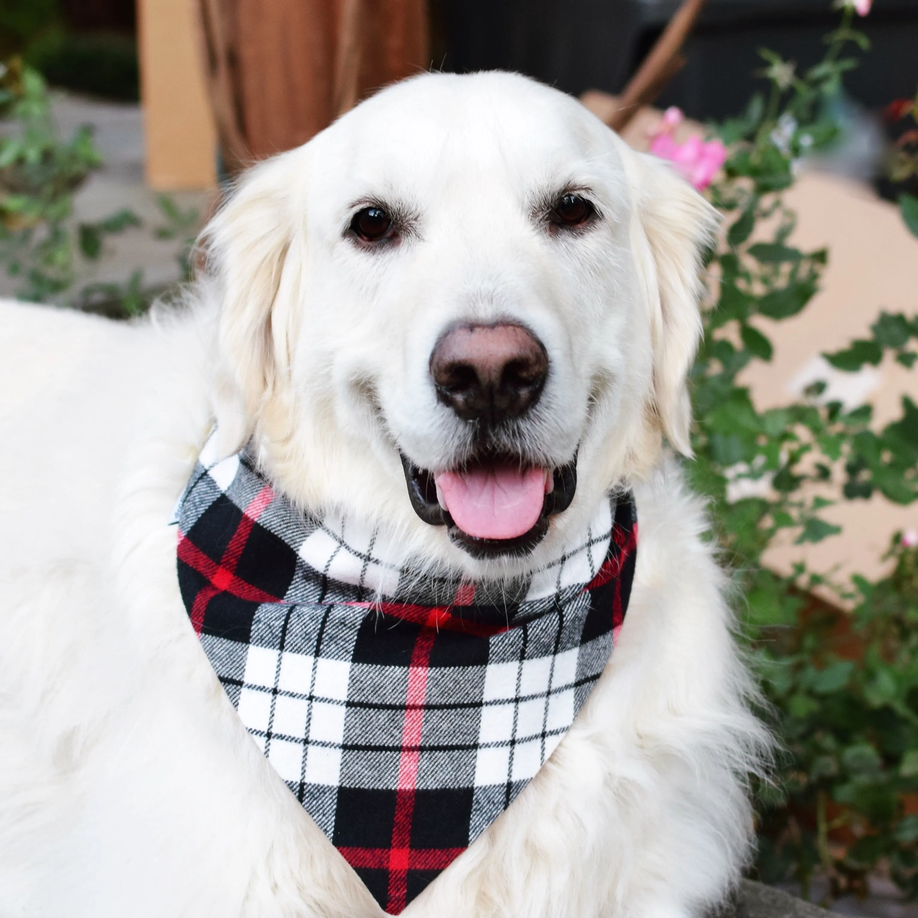 Flannel Dog Bandanas Embroidered with a Name