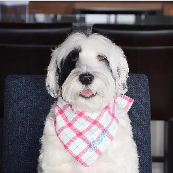 Flannel Dog Bandanas Embroidered with a Name