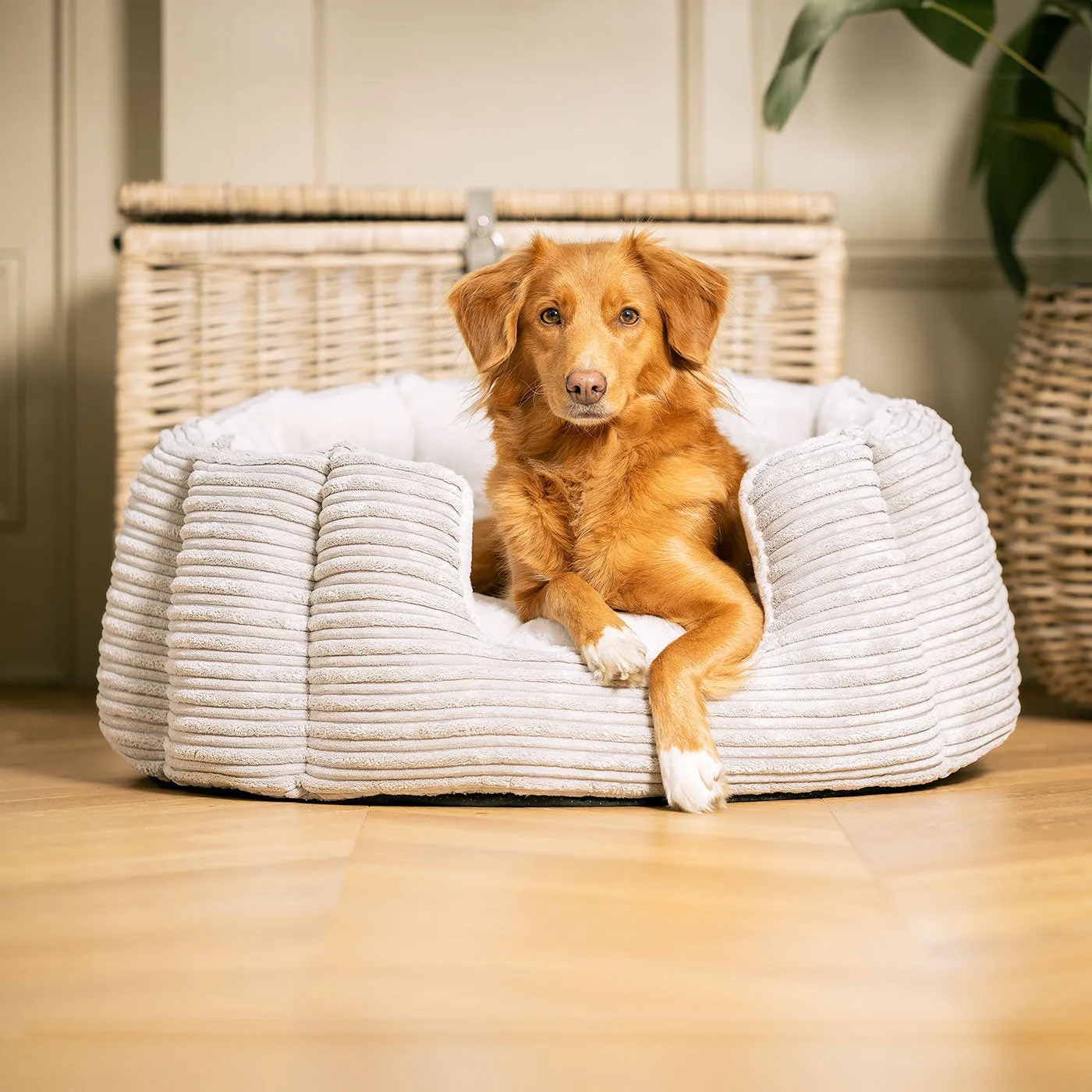 High Wall Bed in Essentials Light Grey Plush by Lords & Labradors