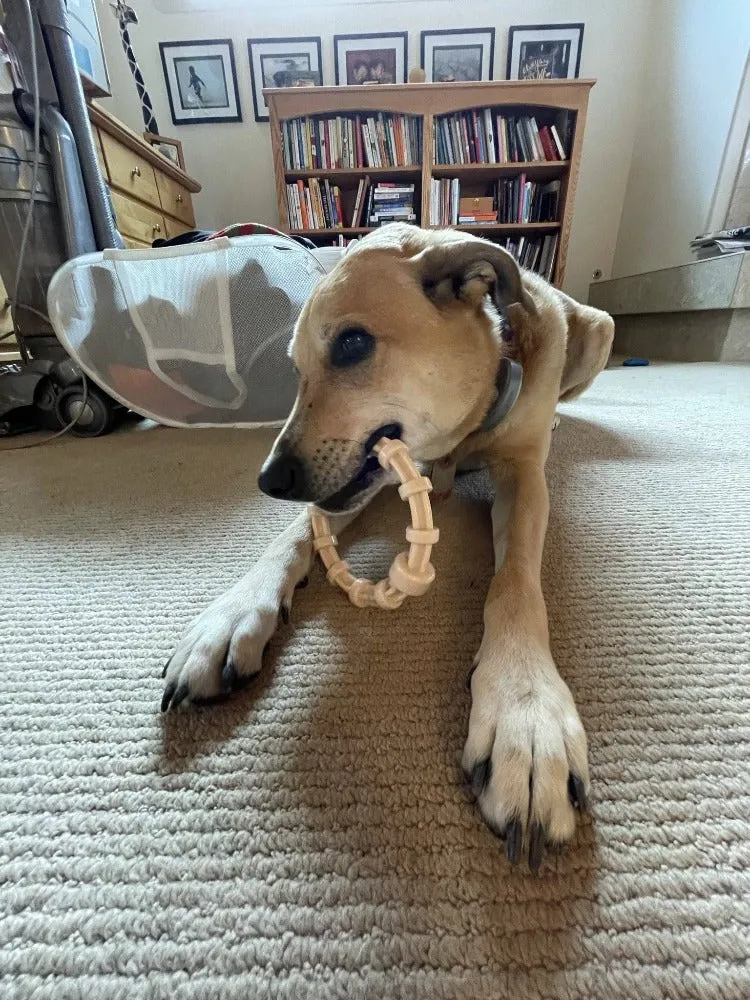 Honey Bone Chicken Flavored Teething Ring