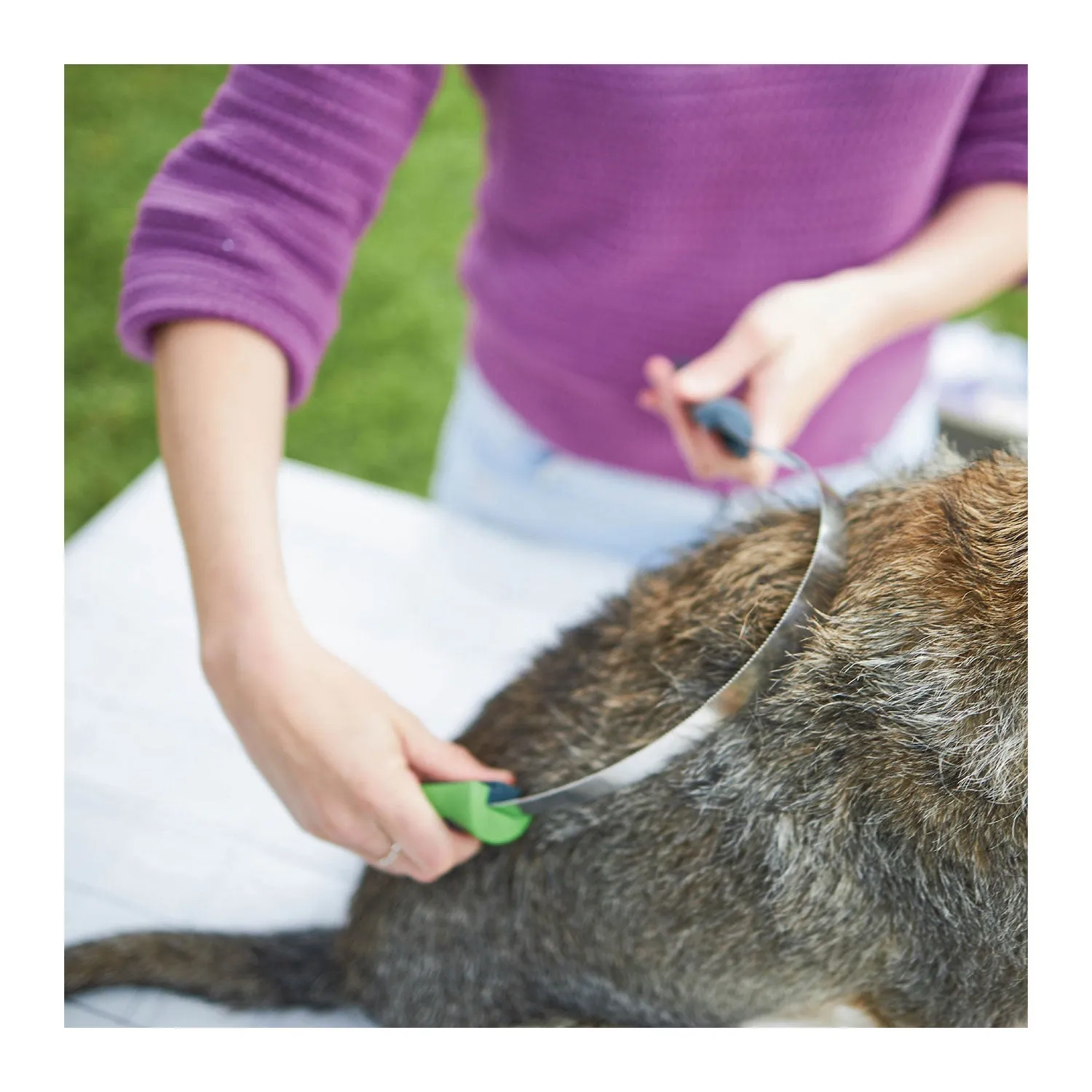 Kazoo Shedding Tool for Dogs & Cats