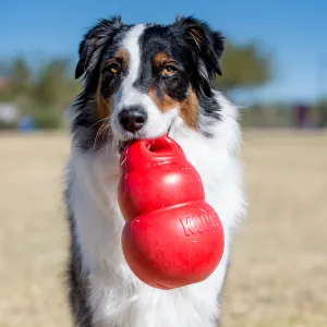 KONG Bounzer Red Medium 6 Inch