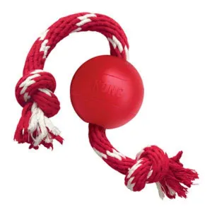 KONG Rubber Ball On Rope Red