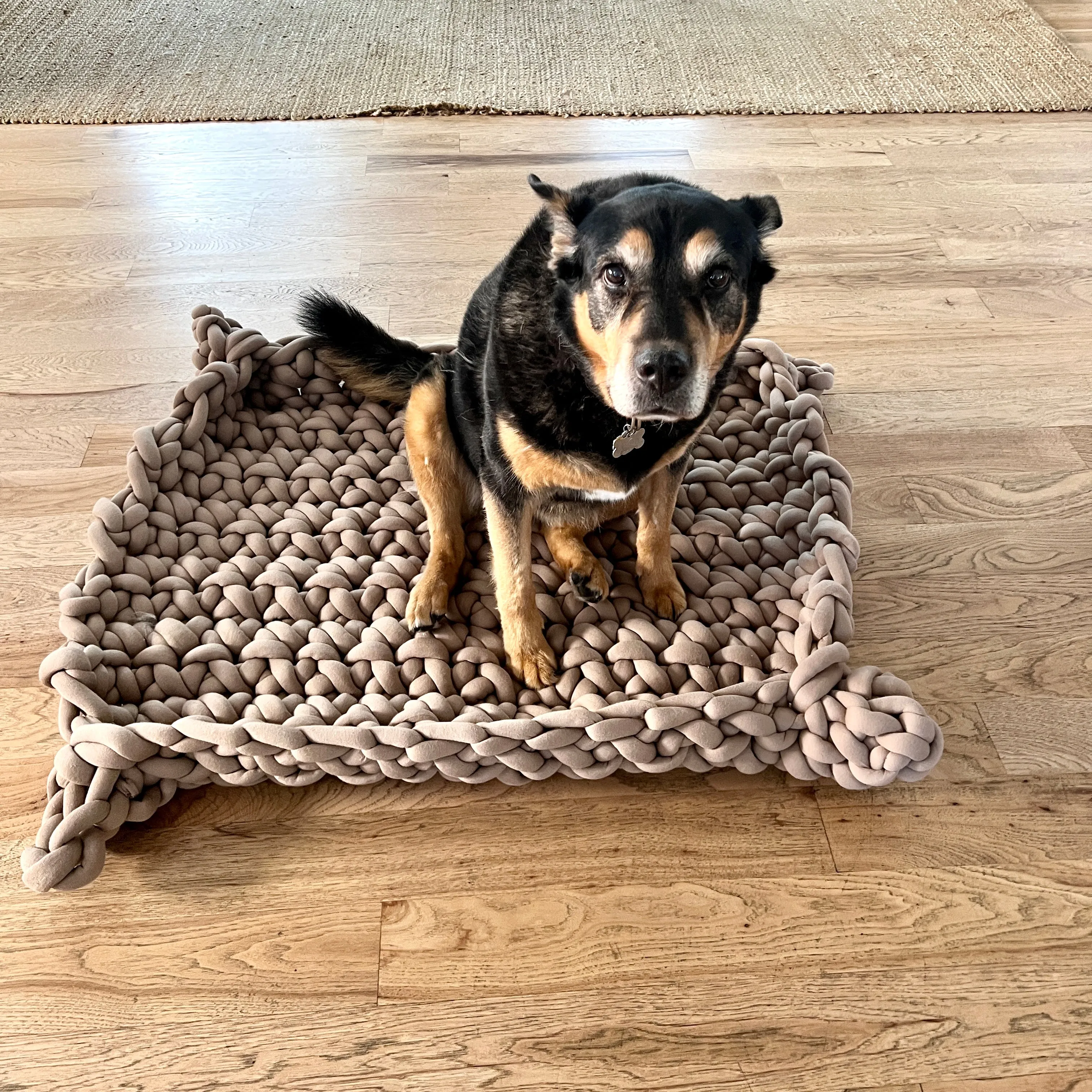 Lucy Pet Beds Pattern