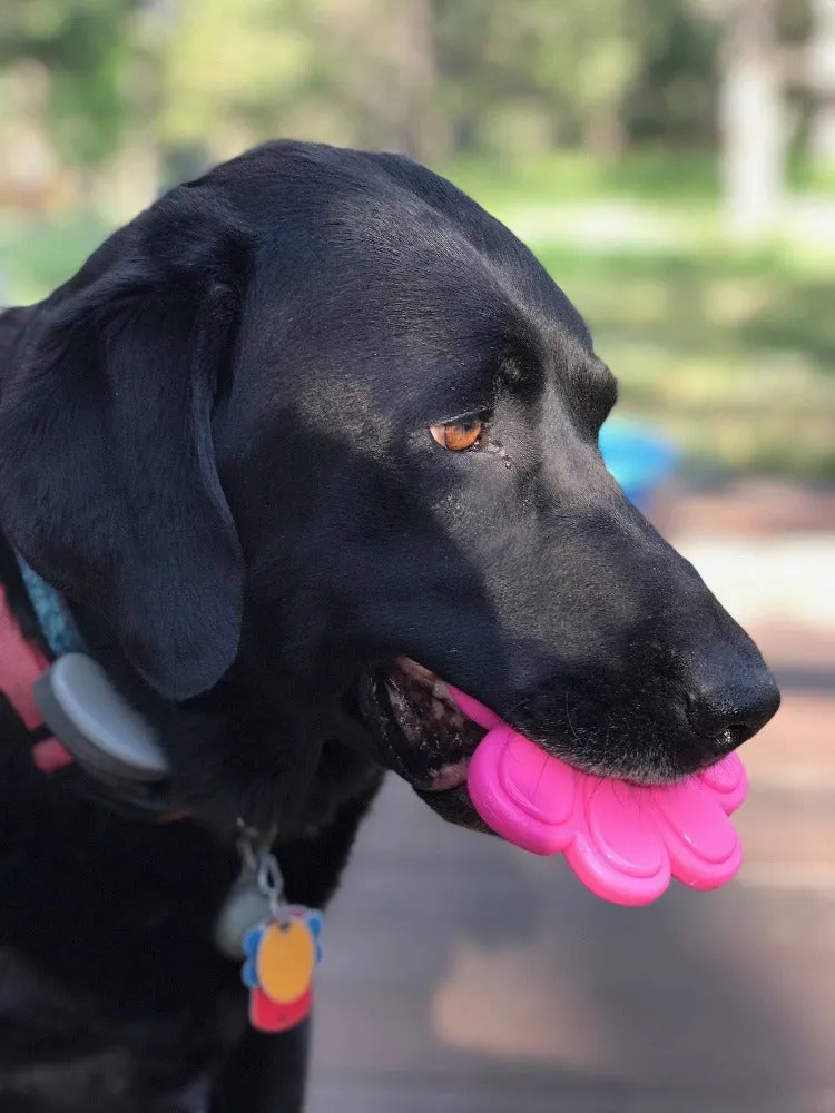 Paw Print Ultra Durable Nylon Dog Chew Toy