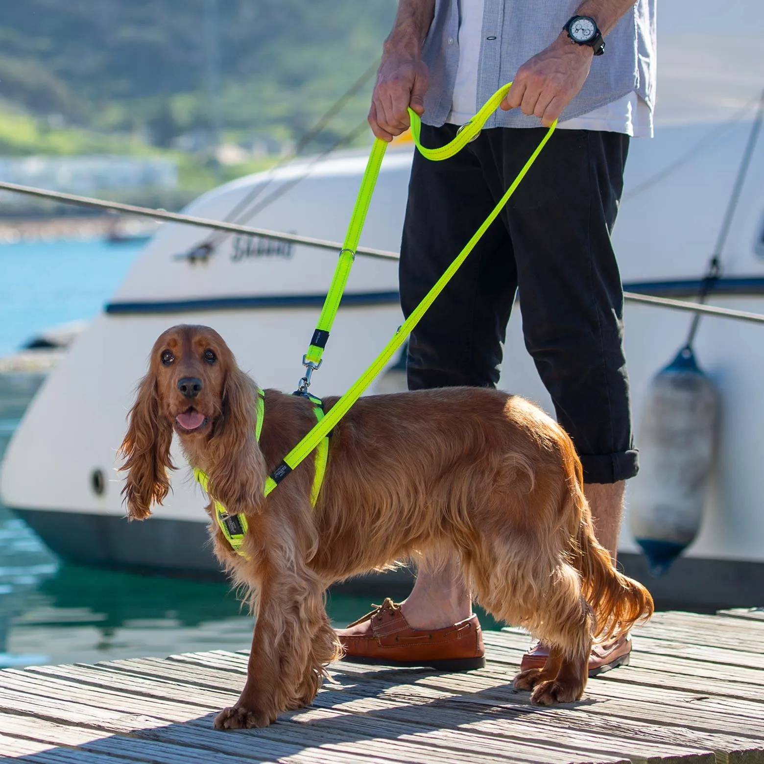 Rogz Control Dog Harness Red Small