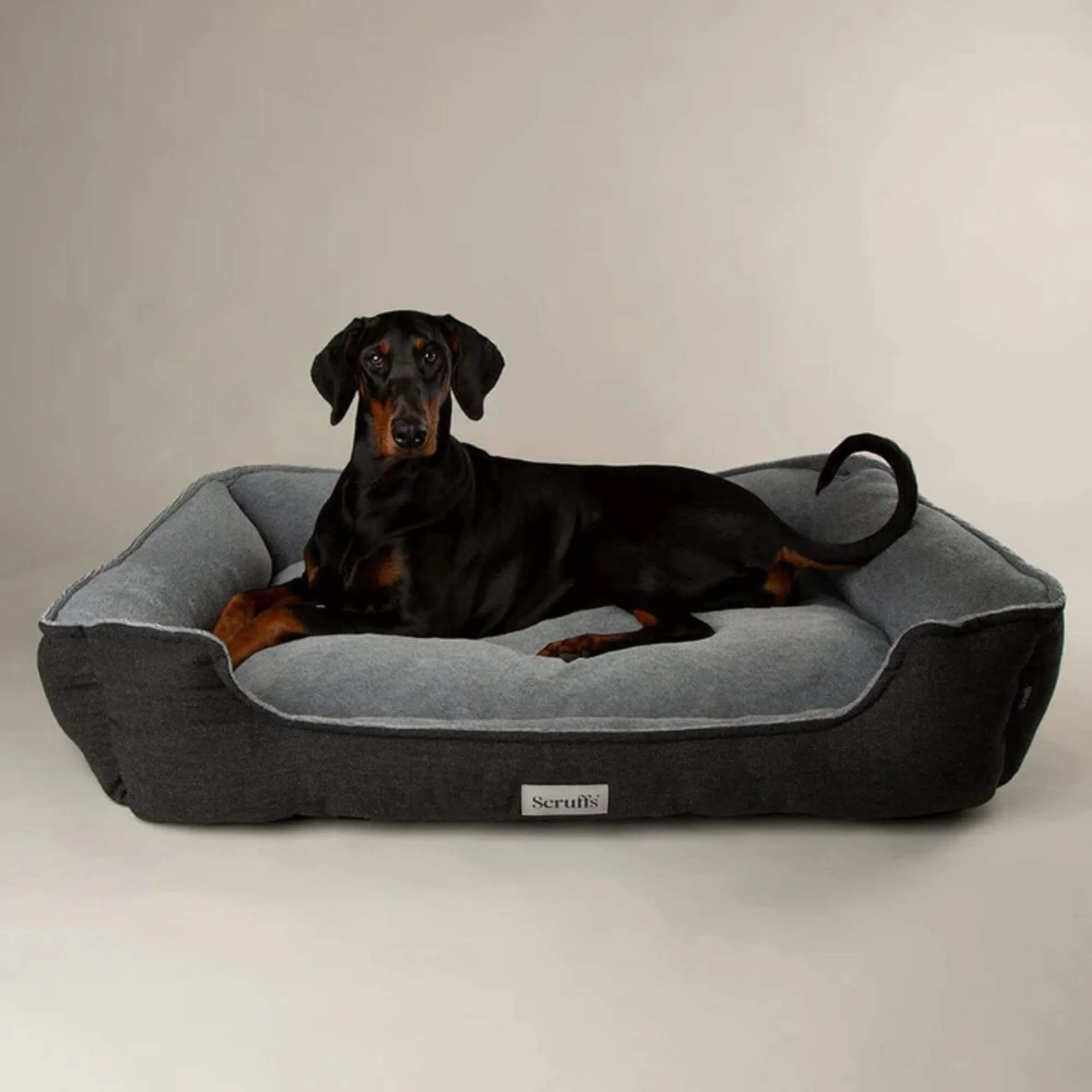 Scruffs Harvard Memory Foam Dog Box Bed