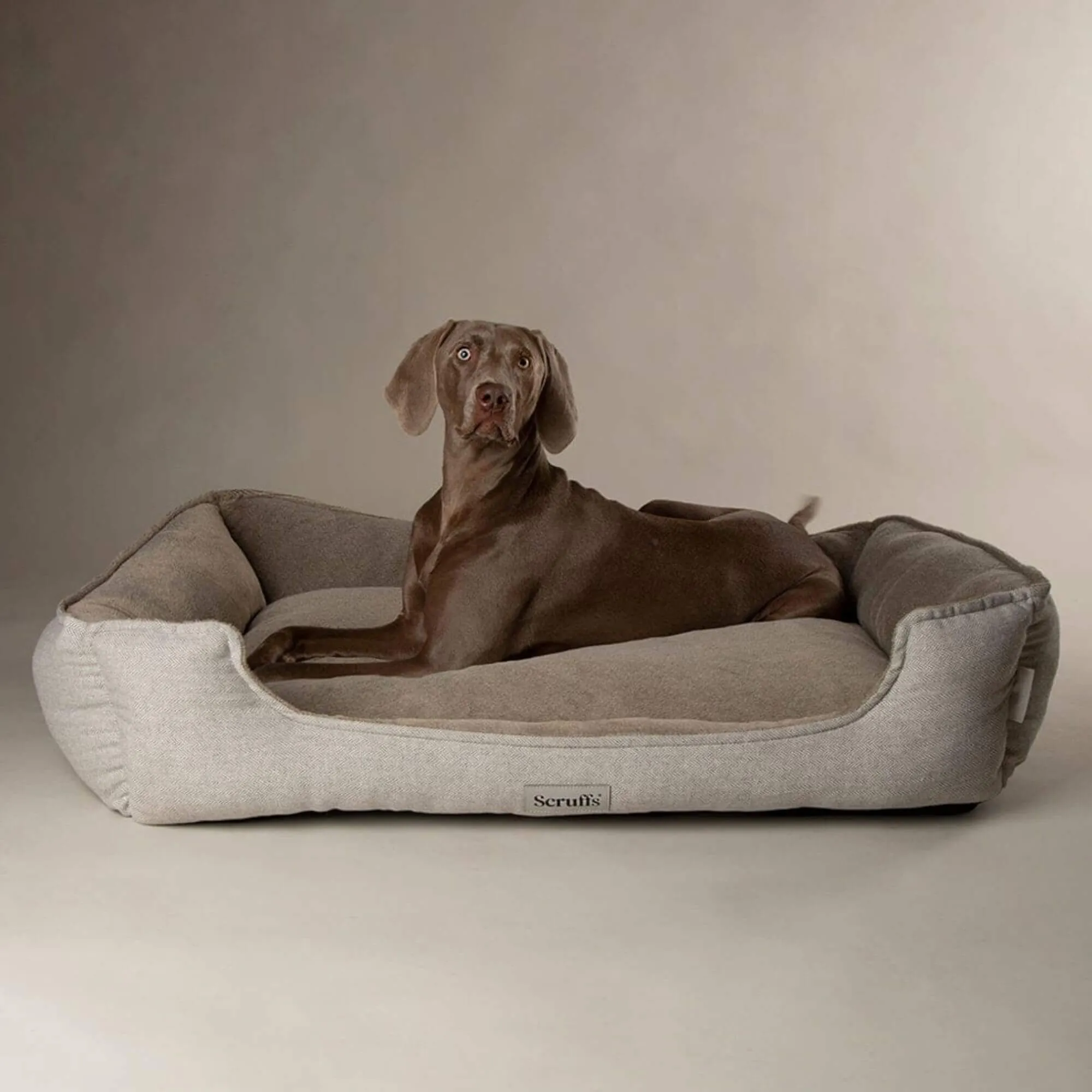 Scruffs Harvard Memory Foam Dog Box Bed