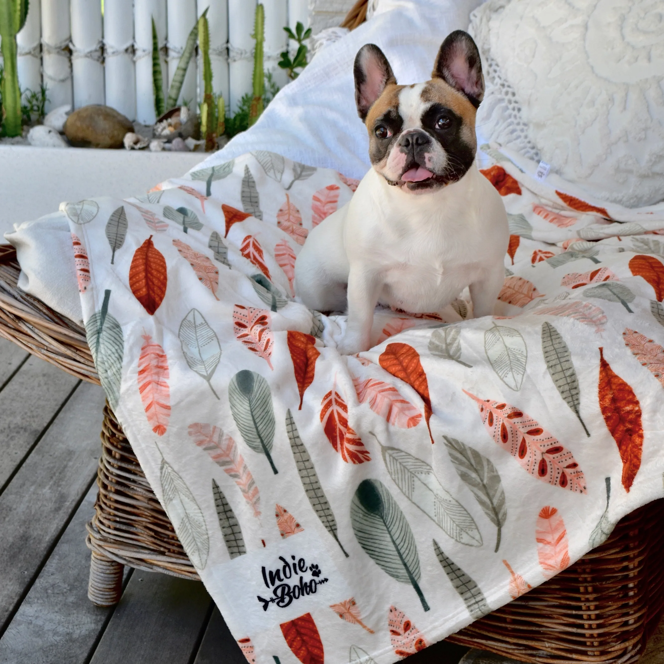 Sunset Cockatoo FEATHER - Designer Pet Blanket