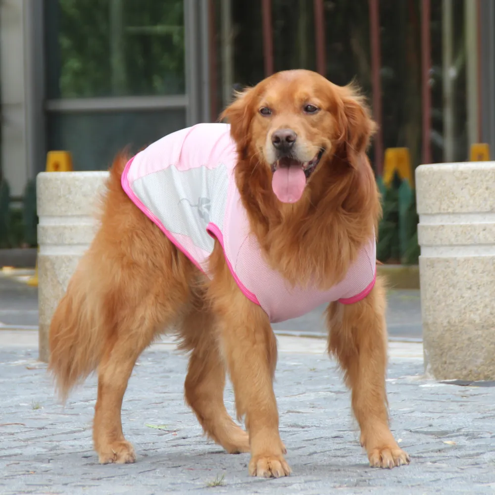 Talking Dog Club Coolios Cooling Vests for Dogs (Pink)