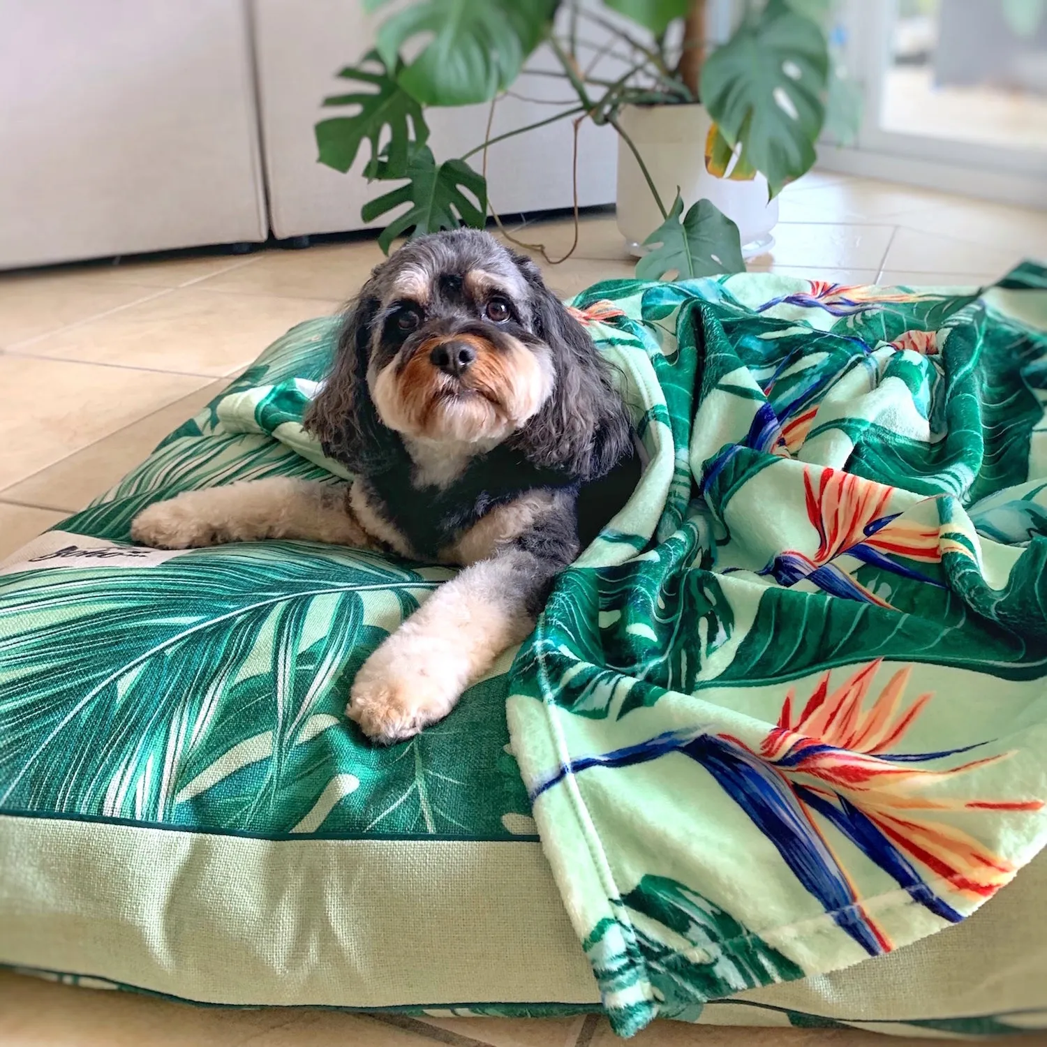 Tropical Bloom- Designer Pet Blanket